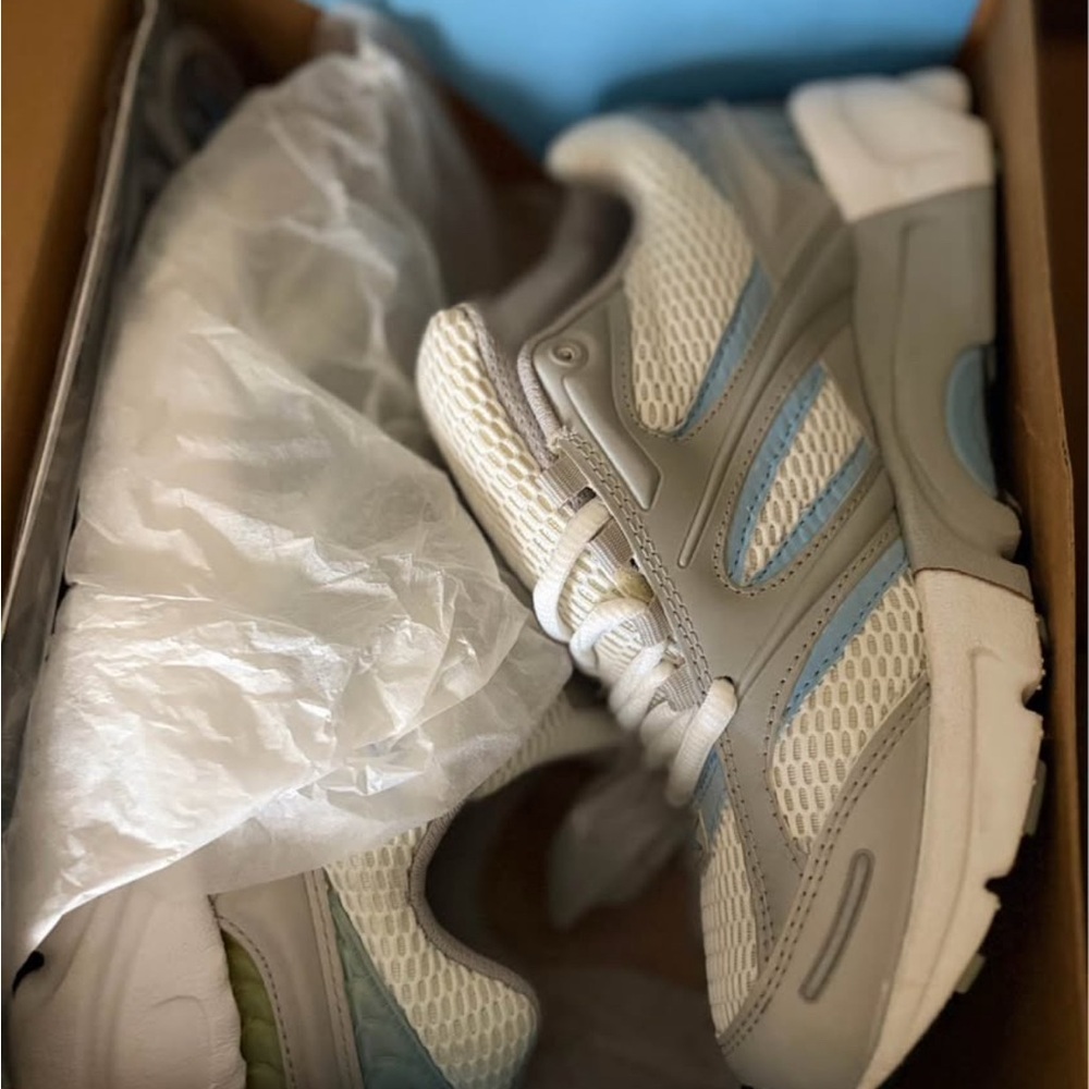 This is an Apex V551 women's athletic shoe in grey and blue